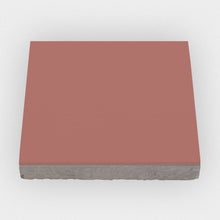 Load image into Gallery viewer, 129-Salmon_side.jpg