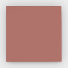 Load image into Gallery viewer, 129-Salmon.jpg
